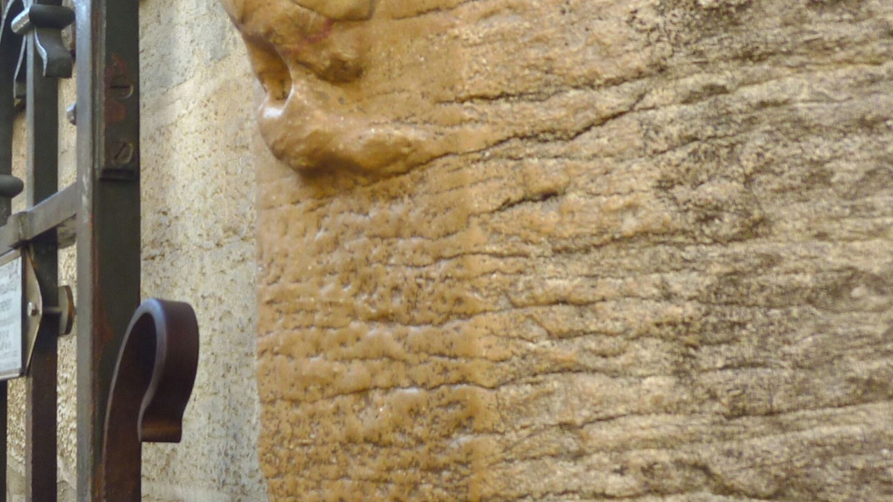 Photo of Outdoor in Faubourg Sud