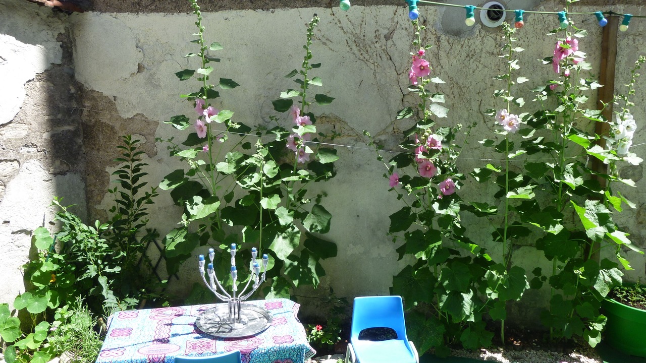 Photo of Outdoor in Faubourg Sud