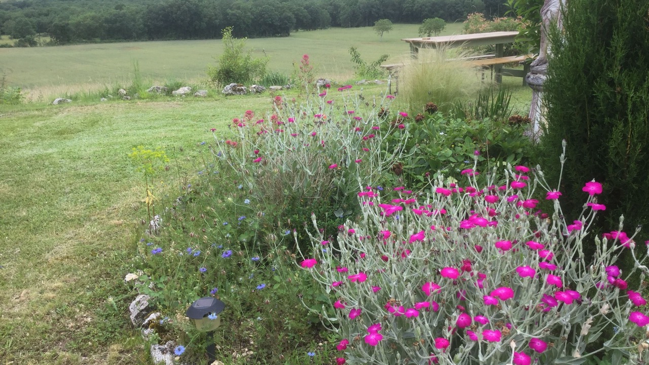 Photo of Outdoor in Caylus