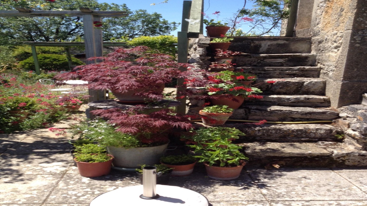 Photo of Outdoor in Caylus