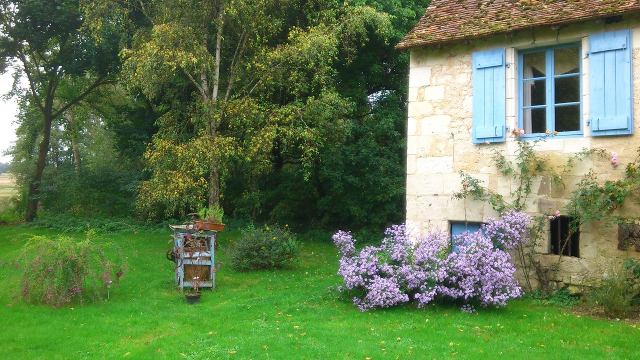 Photo of Outdoor in Boussay