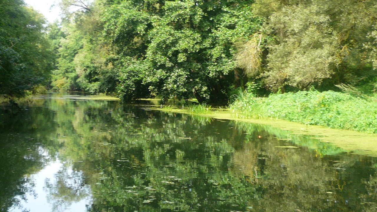 Photo of Outdoor in Boussay