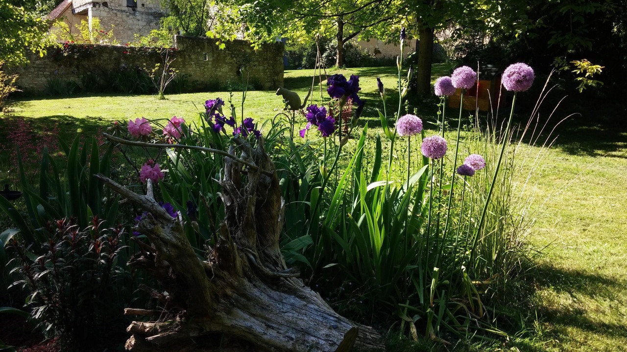 Photo of Outdoor in Boussay