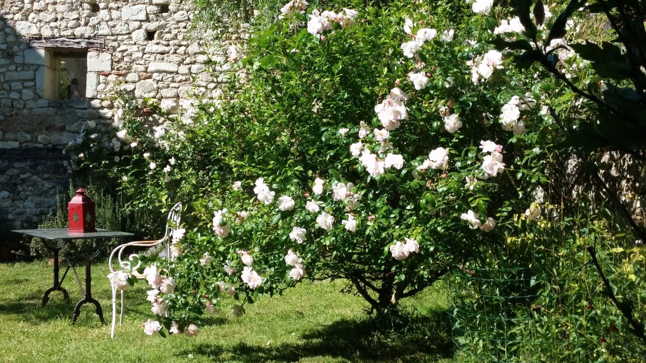 Photo of Outdoor in Boussay