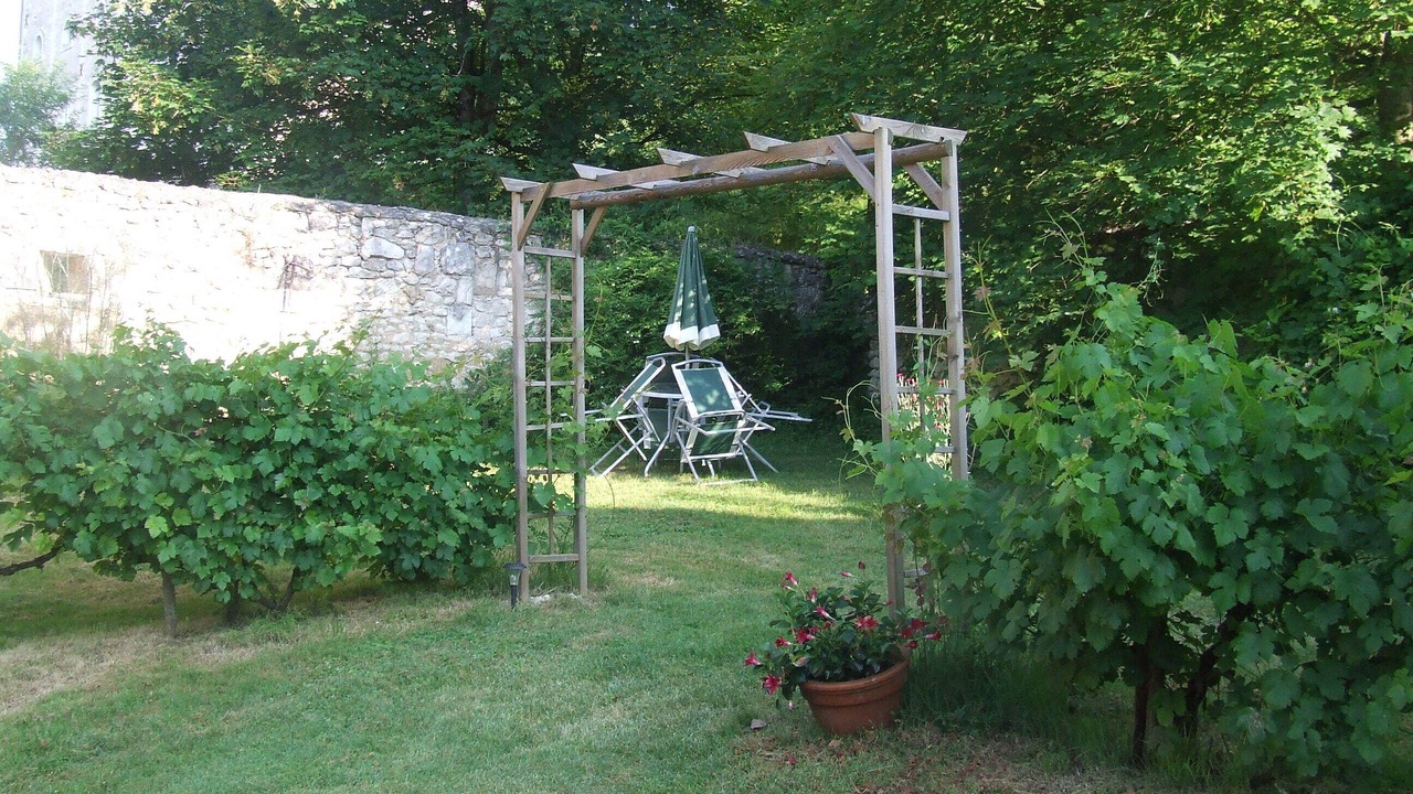 Photo of Outdoor in Boussay