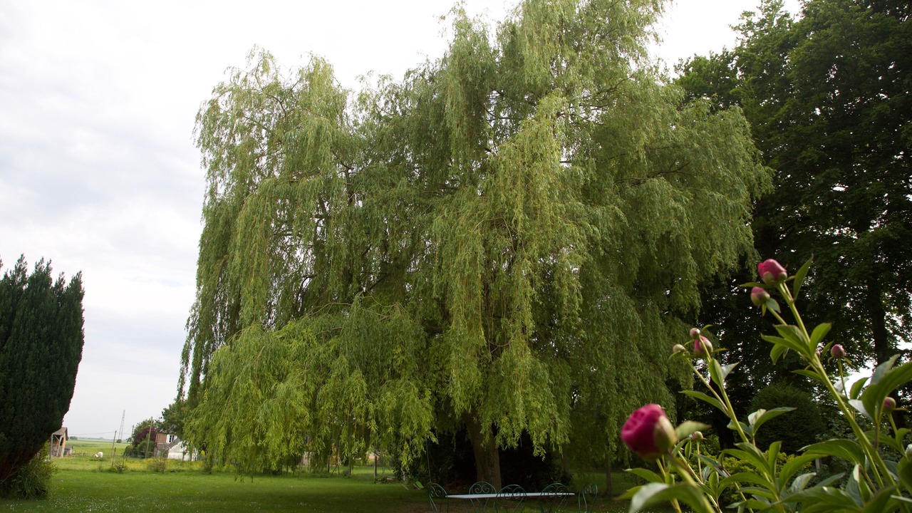 Photo of Outdoor in La Chapelle-sur-Dun