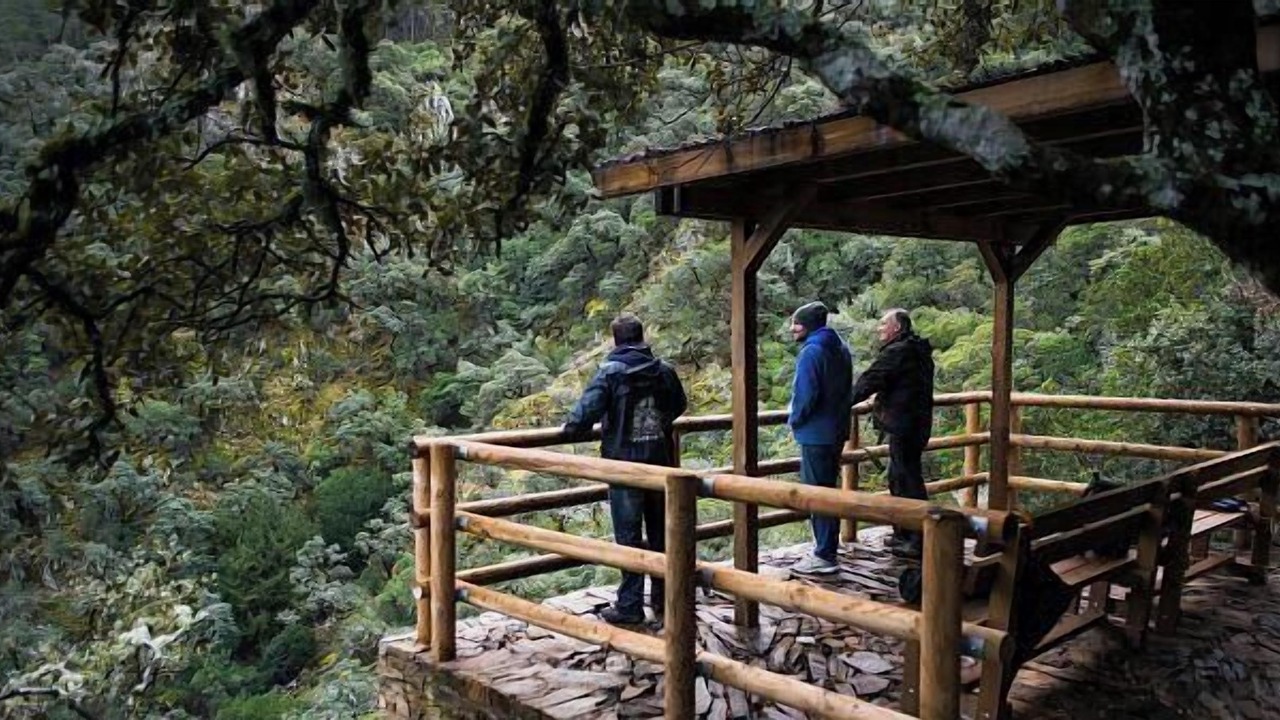 Photo of Outdoor in Pinofranqueado