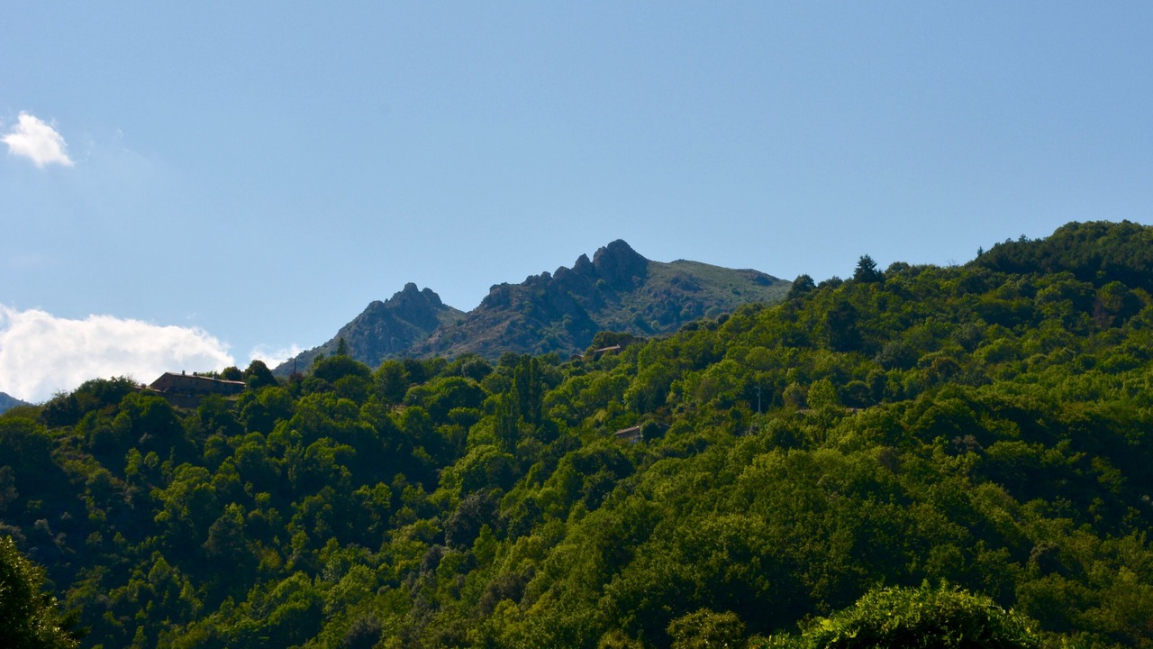 Photo of Outdoor in Fabras