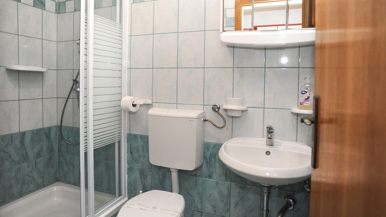 Photo of Bathroom in Caska