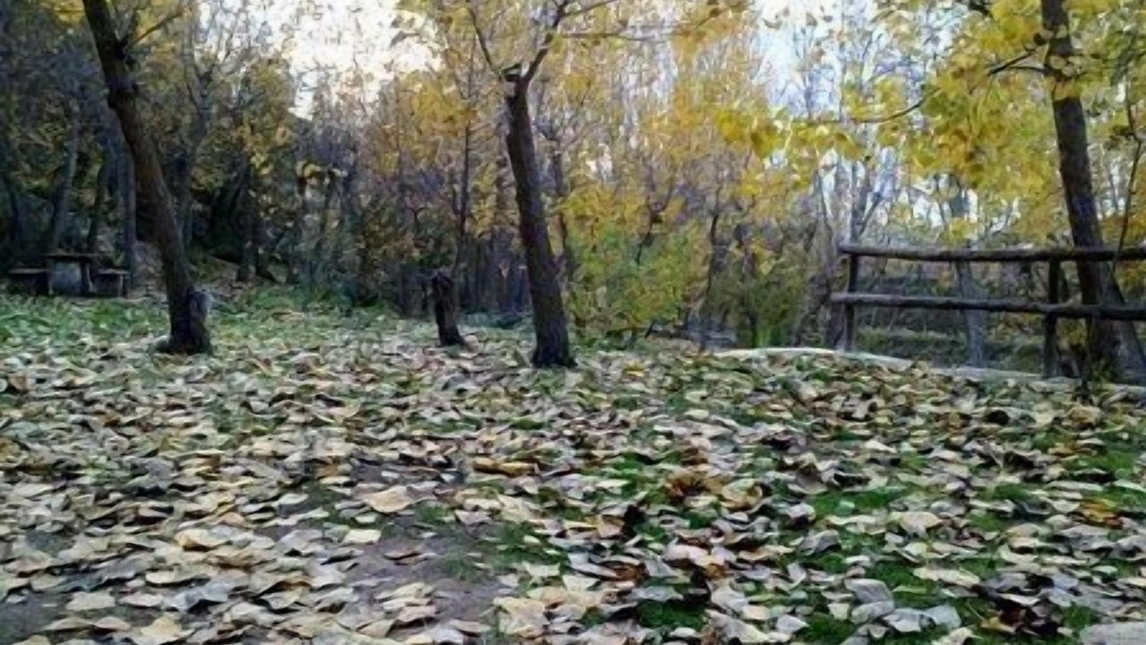 Photo of Outdoor in Banyeres de Mariola