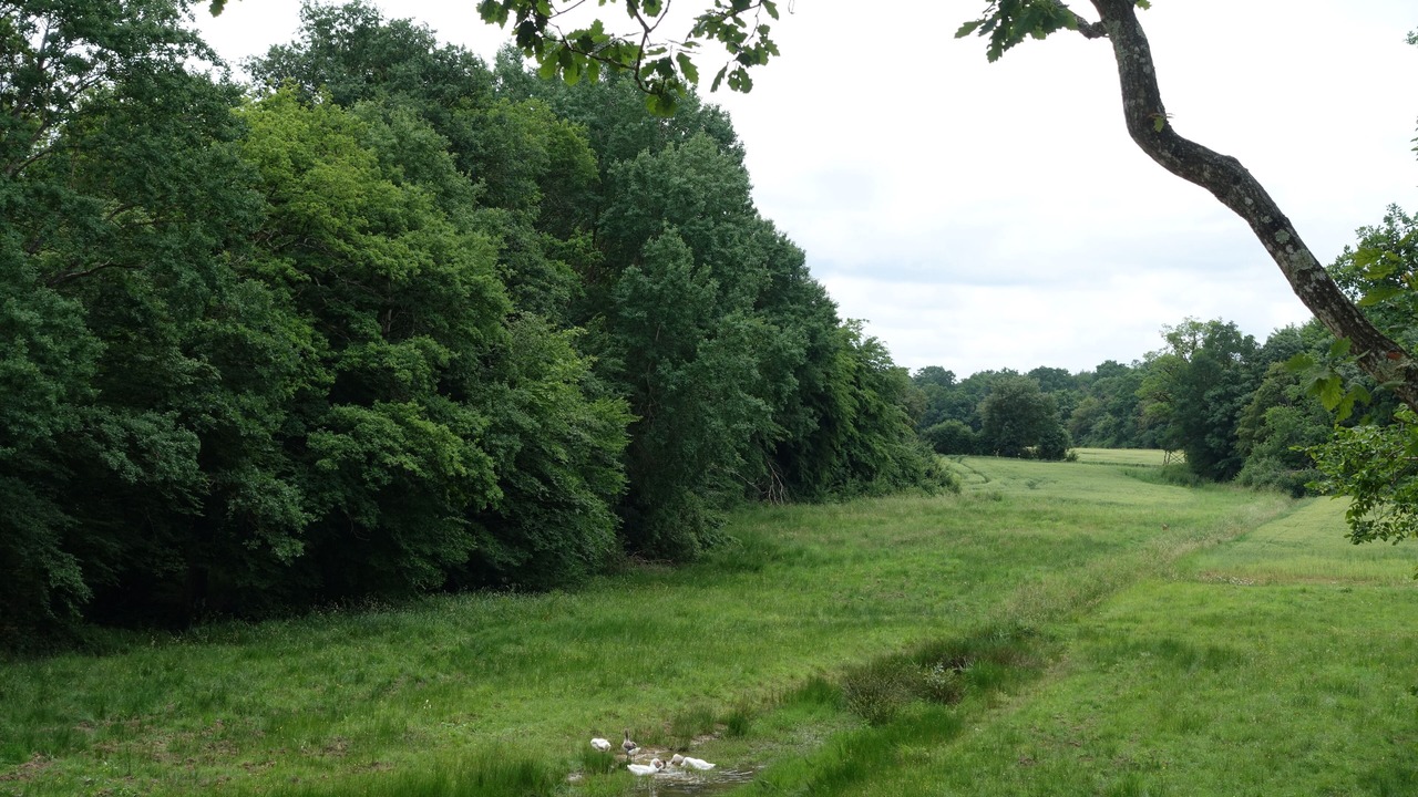 Photo of Outdoor in La Bussiere