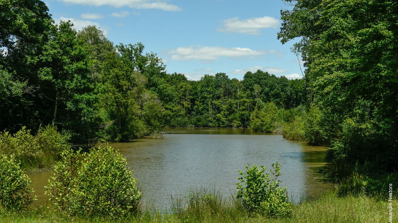 Photo of Outdoor in La Bussiere