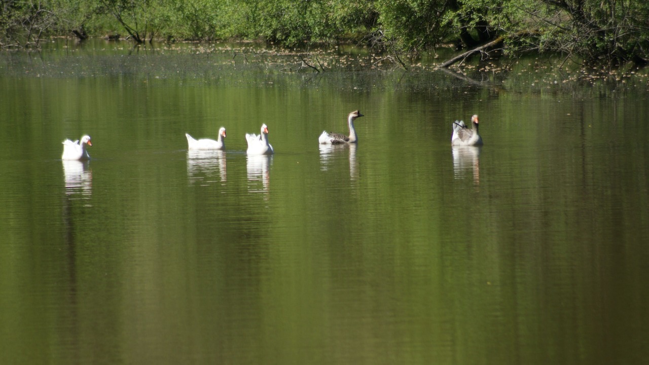 Photo of Outdoor in La Bussiere