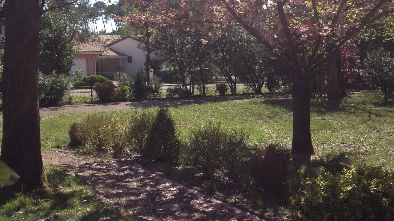 Photo of Outdoor in Capbreton
