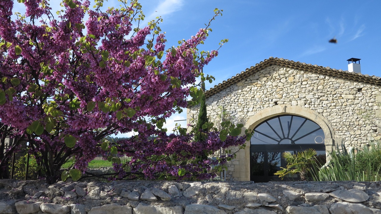 Photo of Outdoor in Montmirat