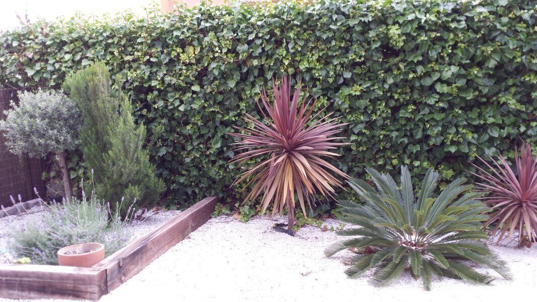 Photo of Outdoor in Cap de Salou