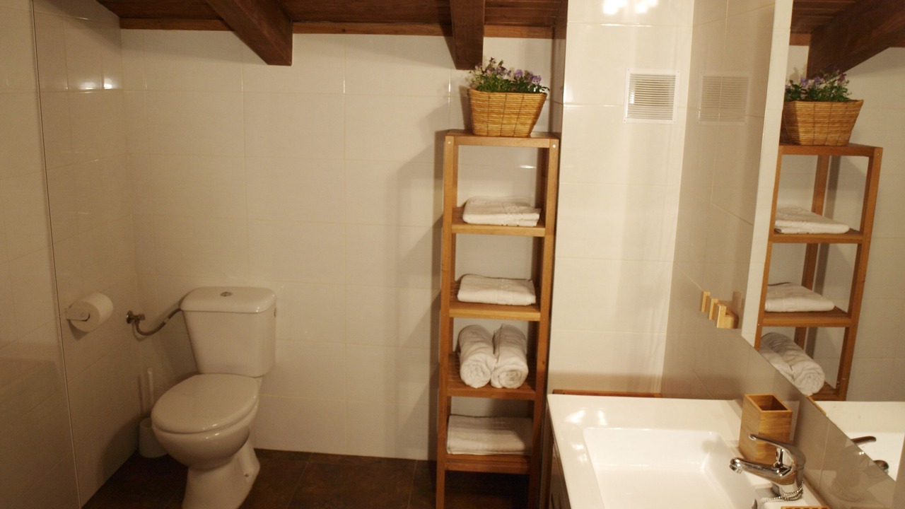 Photo of Bathroom in Tudela
