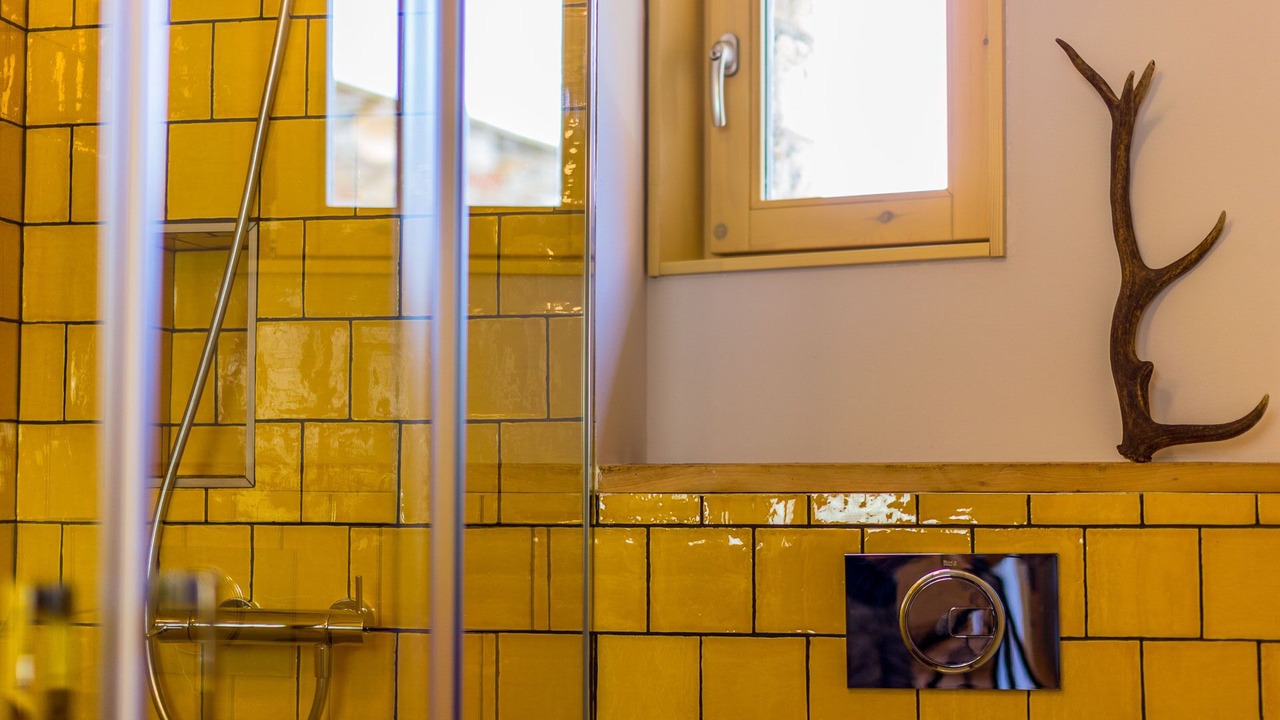 Photo of Bathroom in Taus