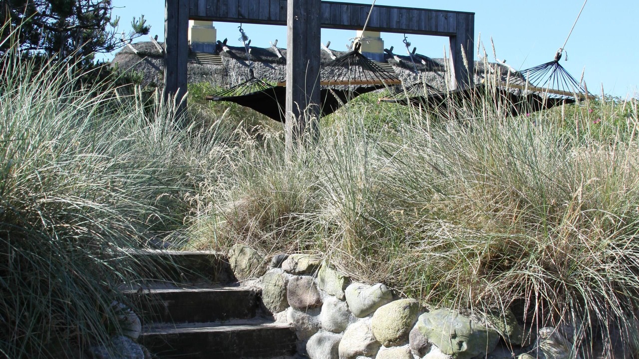 Photo of Outdoor in Saltum