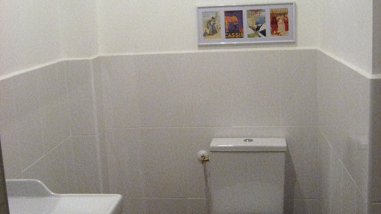 Photo of Bathroom in Capestang
