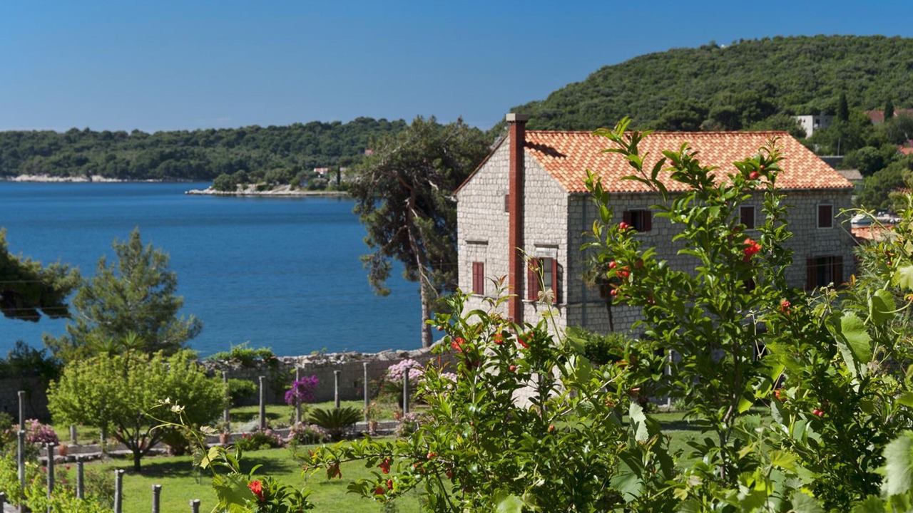 Photo of Outdoor in Zaton
