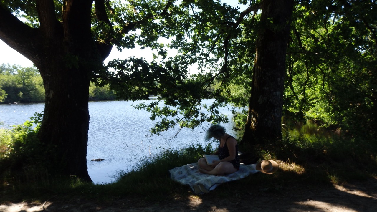 Photo of Others in Saint-Martin-du-Fouilloux