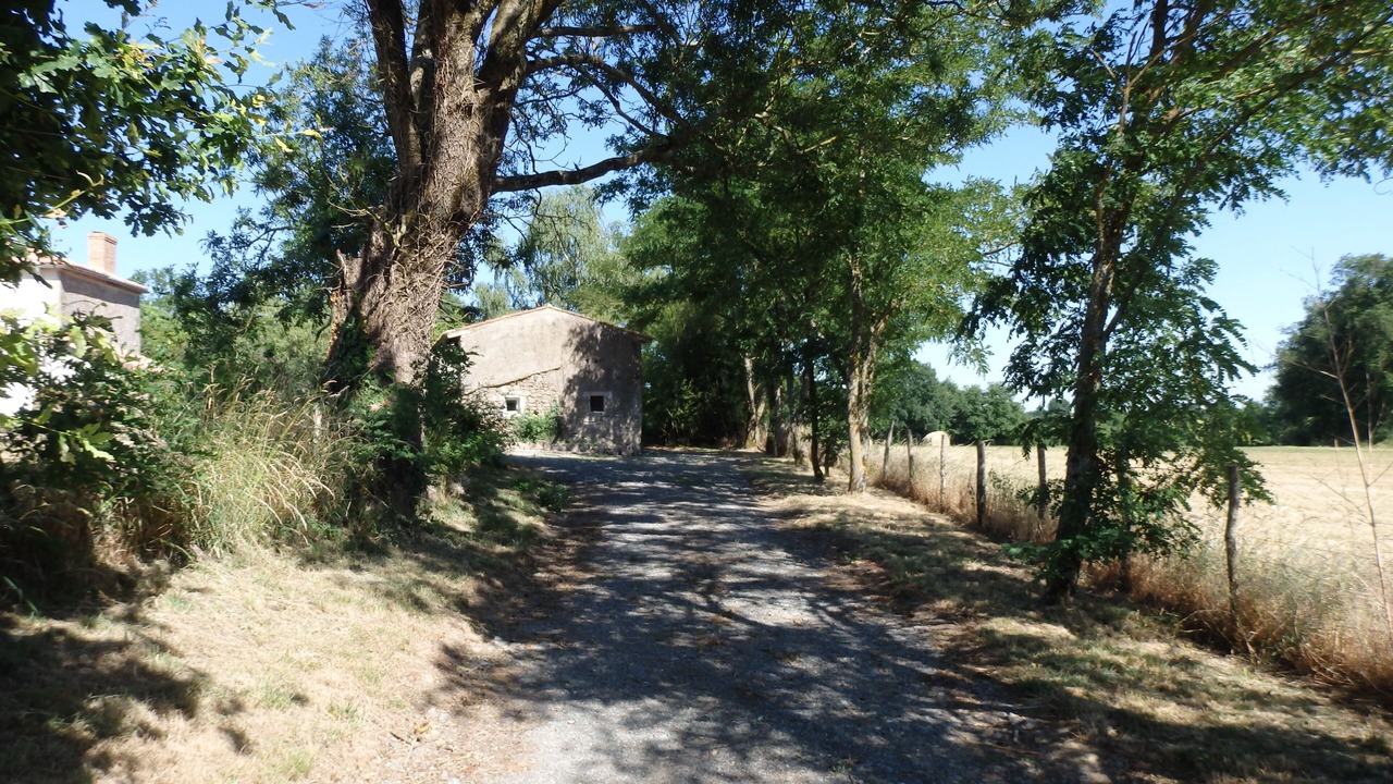 Photo of Outdoor in Saint-Martin-du-Fouilloux