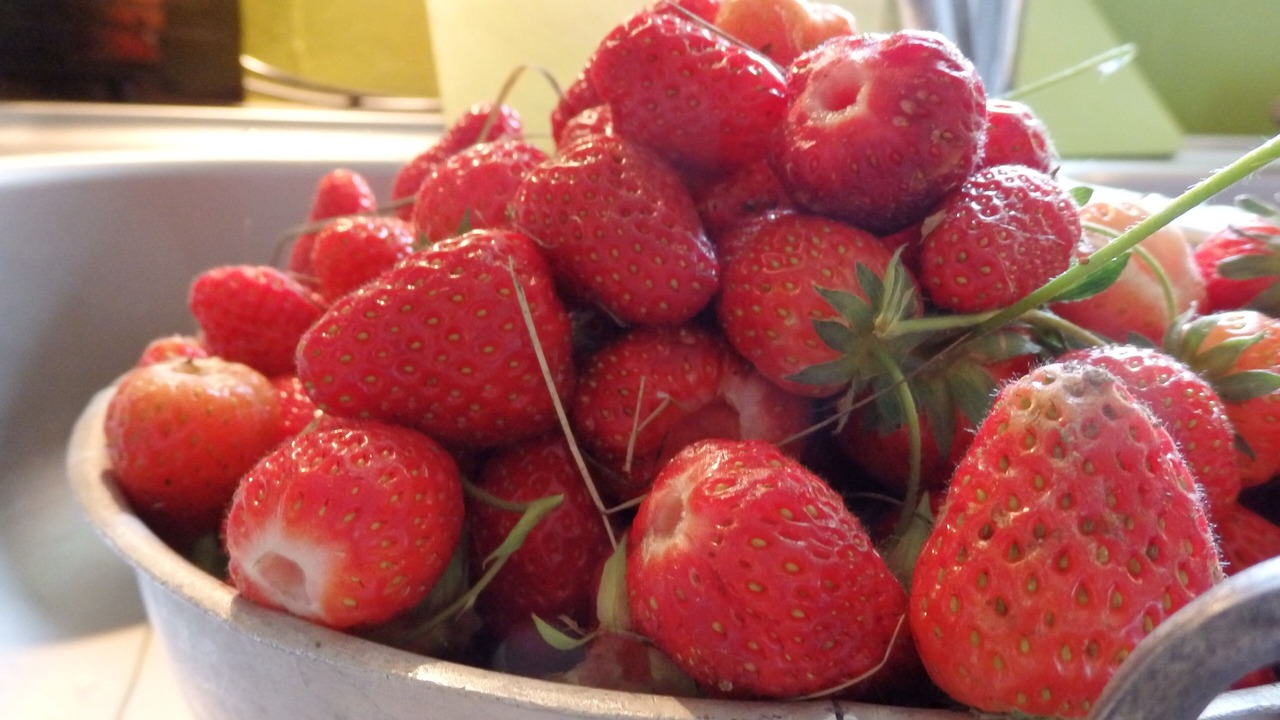 Photo of Others in Saint-Martin-du-Fouilloux