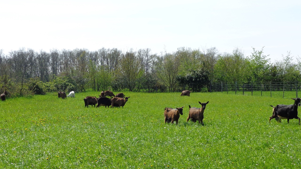 Photo of Others in Bournan
