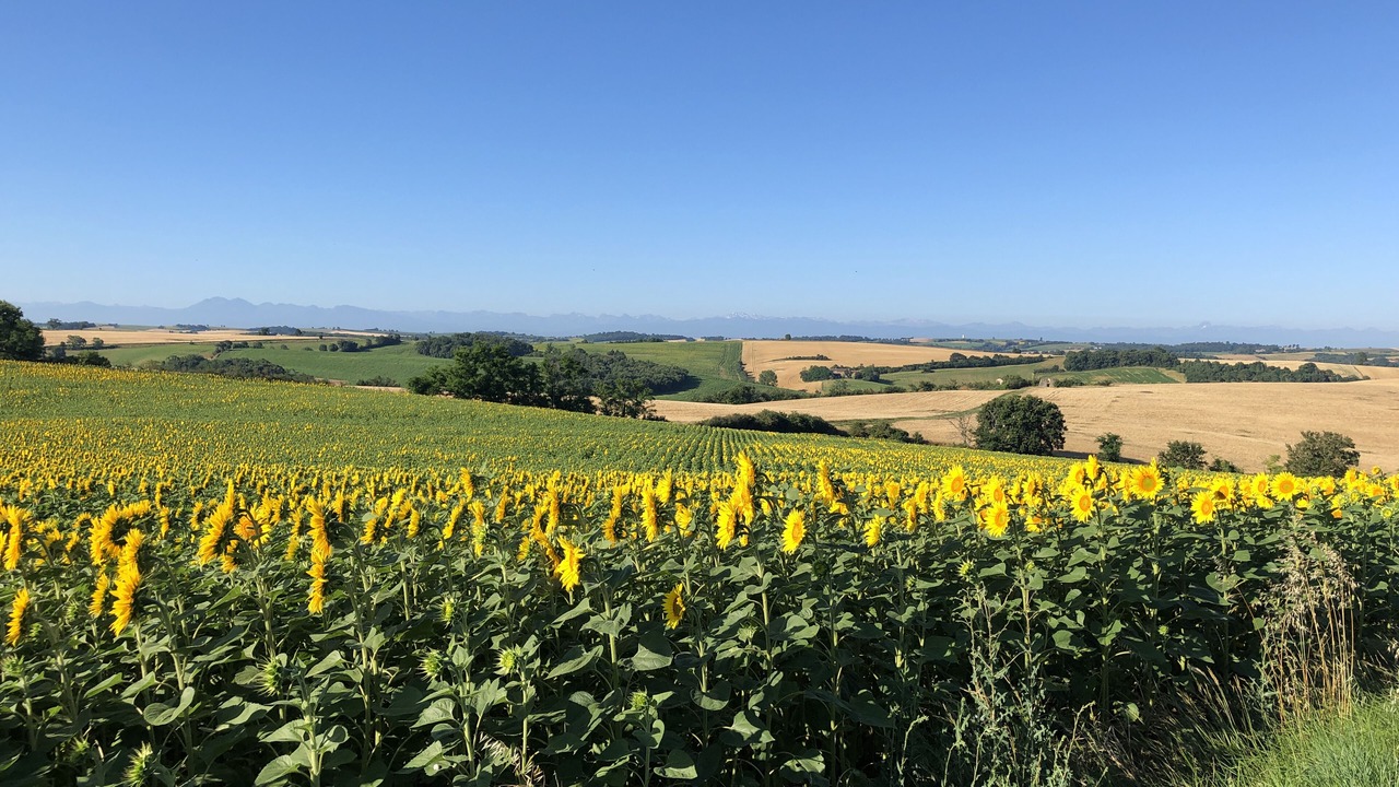 Photo of Others in Caignac