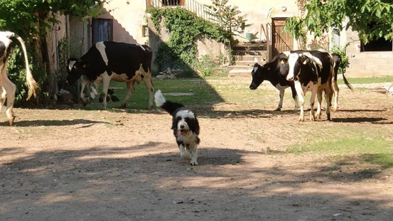 Photo of Outdoor in Vaureilles