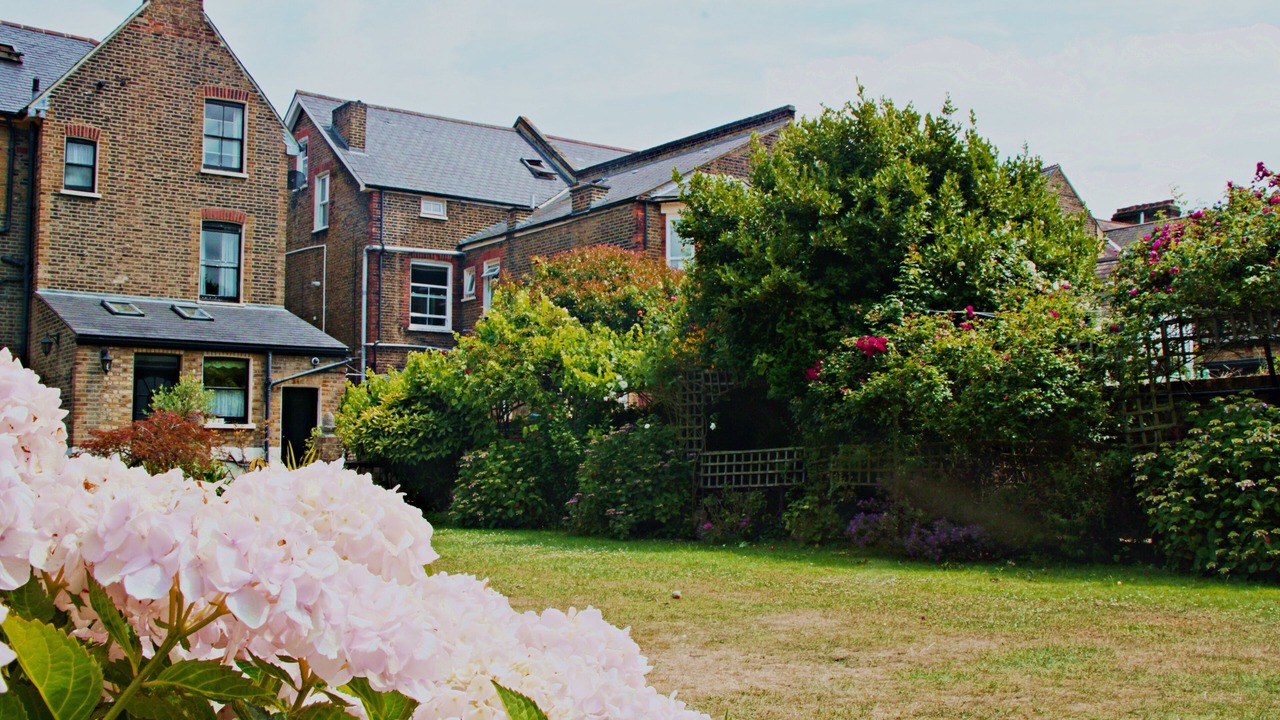 Photo of Outdoor in Catford