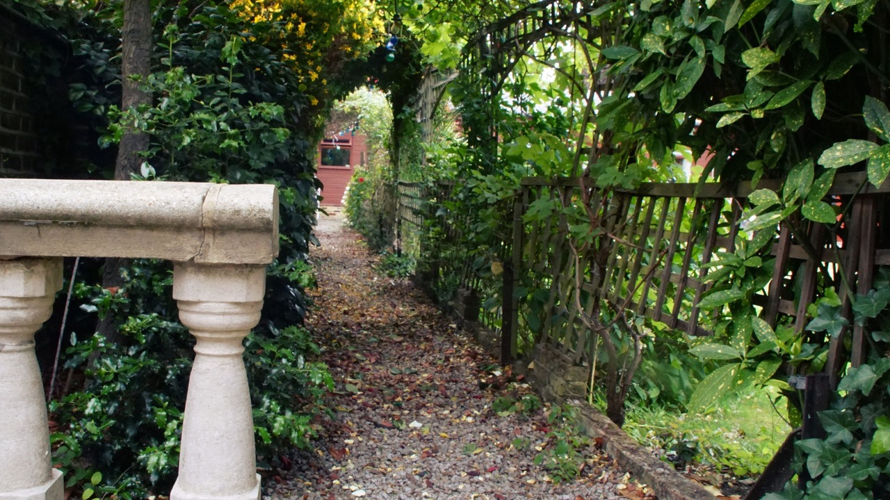 Photo of Outdoor in Catford