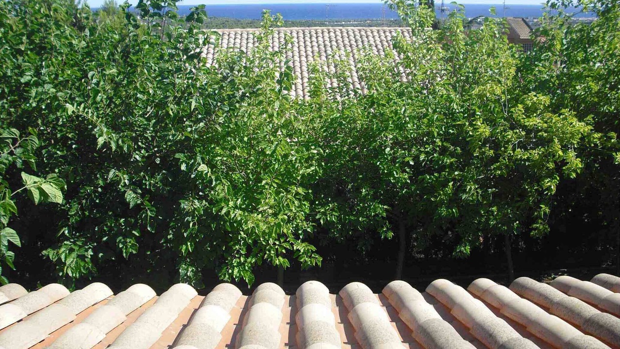 Photo of Outdoor in Roda de Bara