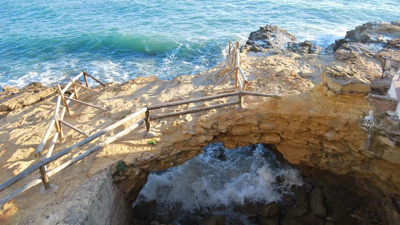 Photo of Others in Roda de Bara