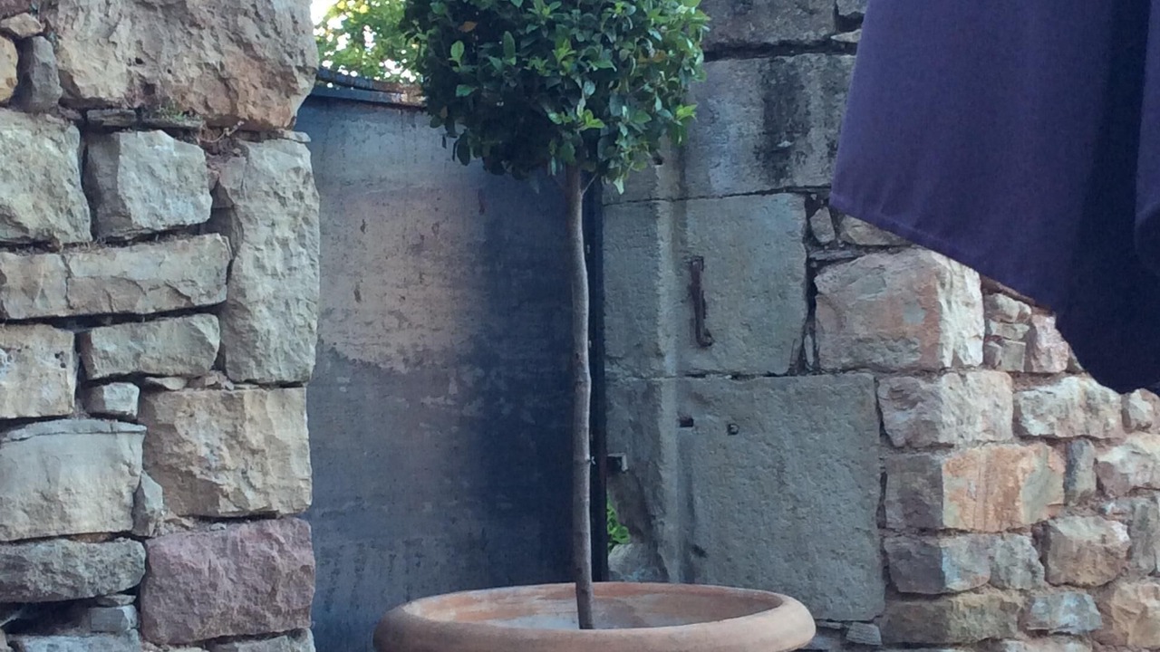 Photo of Outdoor in Clairvaux-d'Aveyron