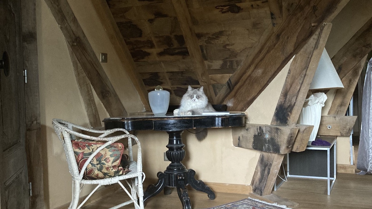 Photo of Others in Clairvaux-d'Aveyron