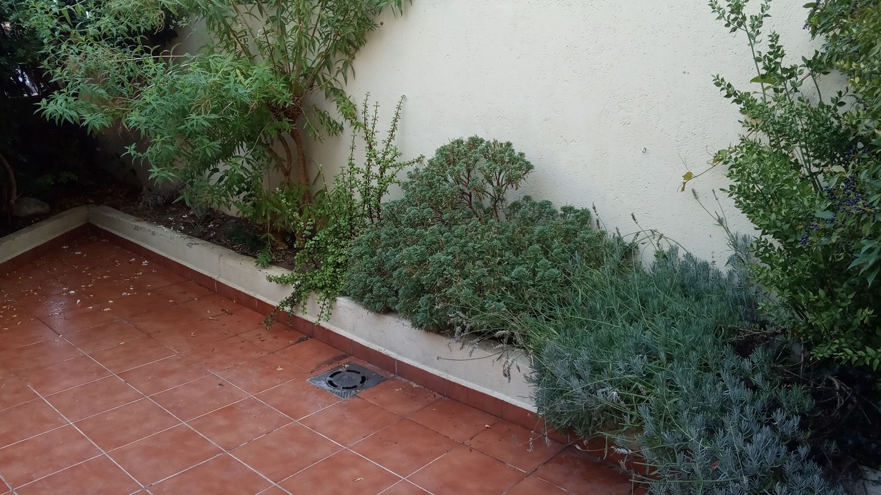 Photo of Outdoor in Saus