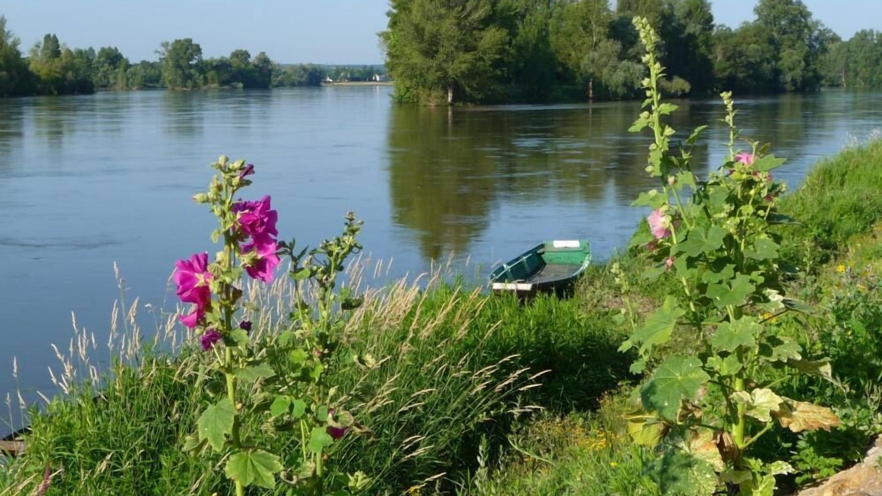 Photo of Outdoor in Chouze-sur-Loire