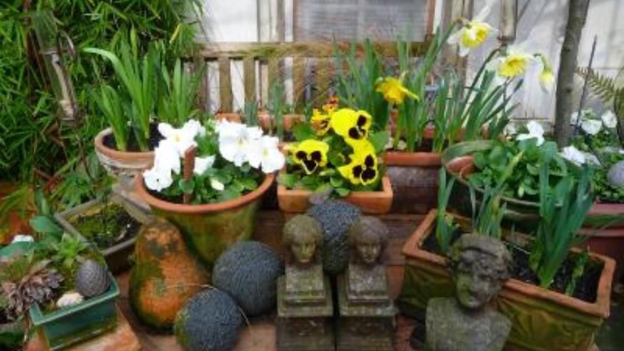 Photo of Patio Balcony in Chouze-sur-Loire