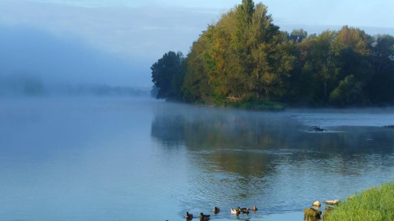 Photo of Others in Chouze-sur-Loire
