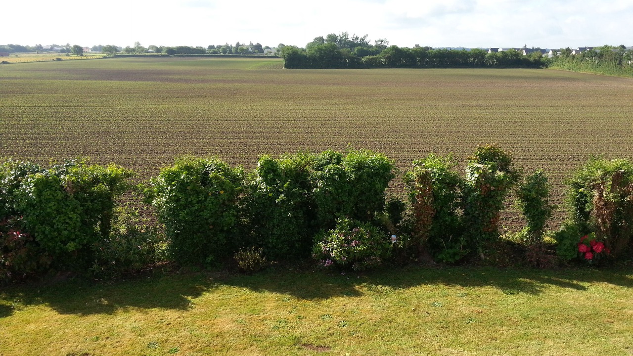 Photo of Outdoor in Saint-Pair-sur-Mer