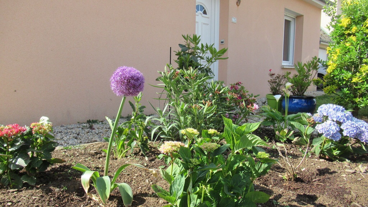 Photo of Outdoor in Saint-Pair-sur-Mer