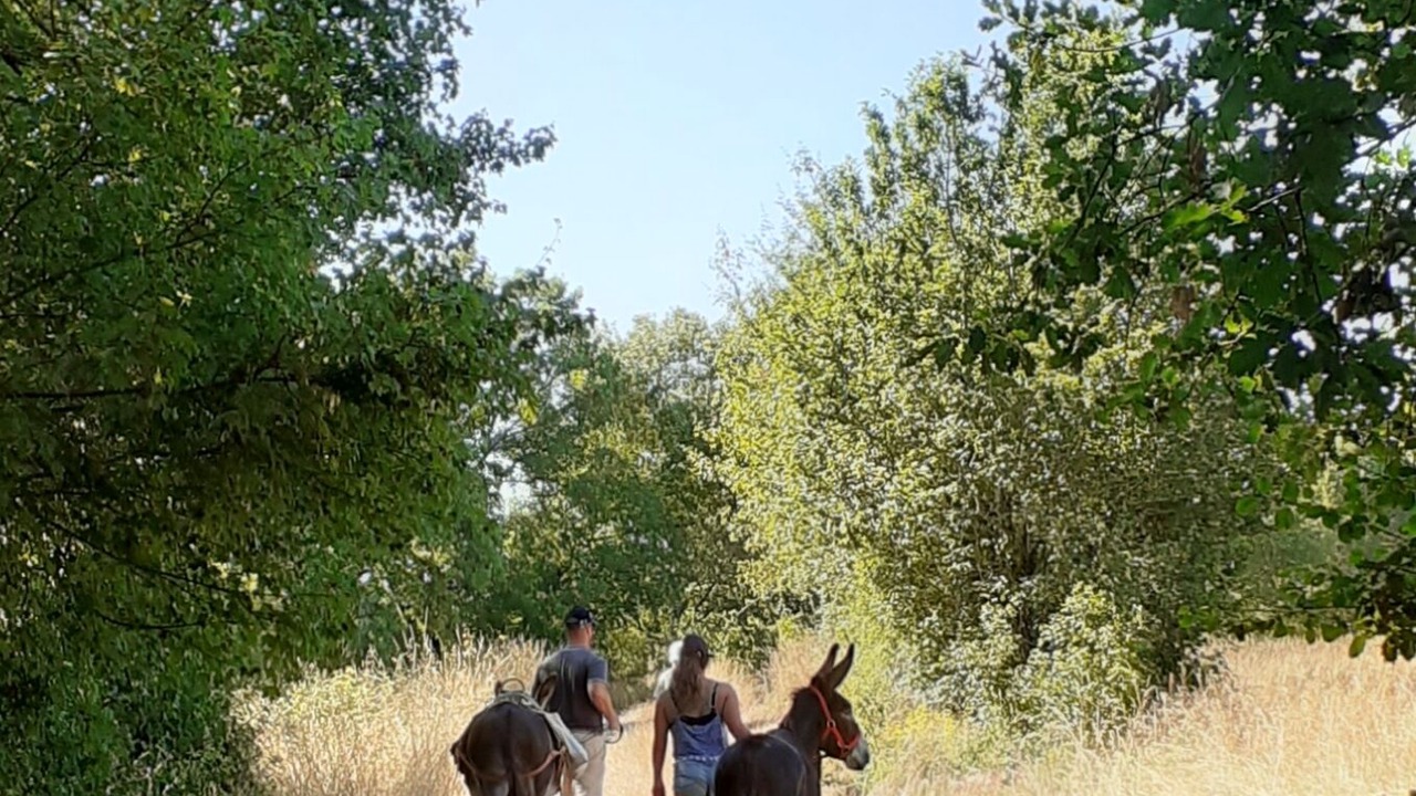 Photo of Others in Mauroux