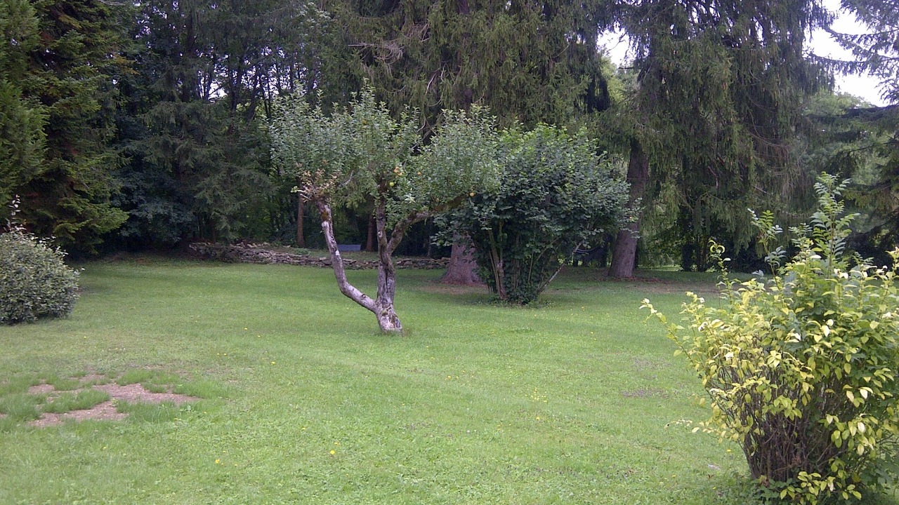 Photo of Outdoor in Voutenay-sur-Cure