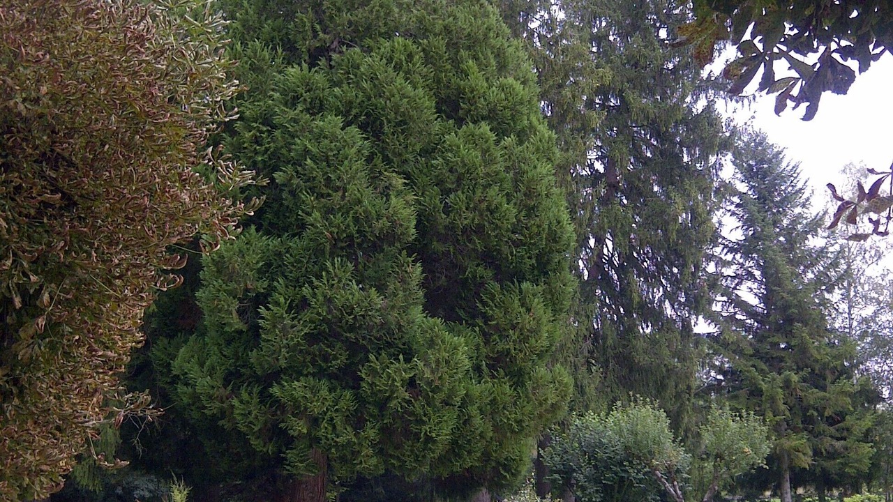 Photo of Outdoor in Voutenay-sur-Cure