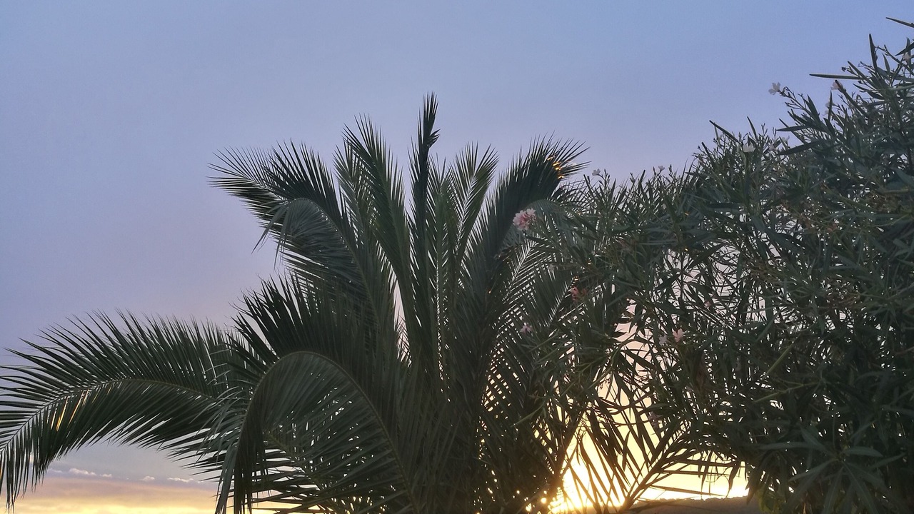 Photo of Outdoor in Vis