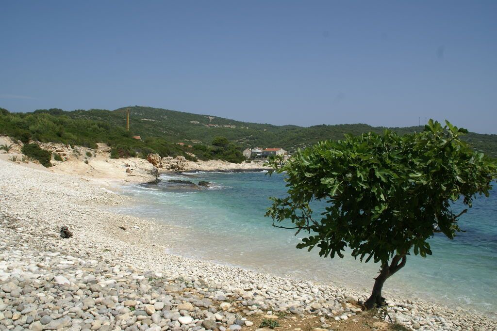 Photo of Others in Vis