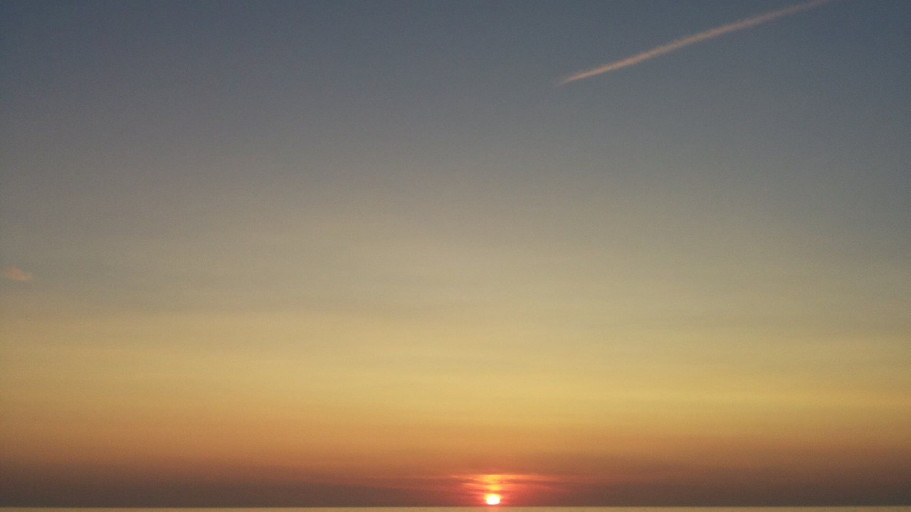 Photo of Others in Vis