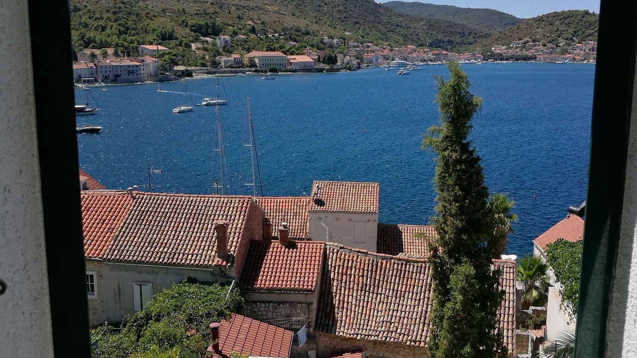 Photo of Others in Vis